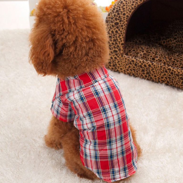 Карирана риза / домашен любимец