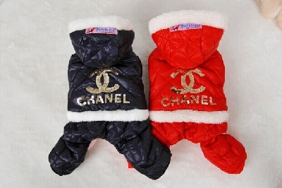 Екип Chanel за домашен любимец