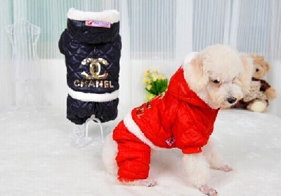 Chanel ρούχα για ζώα συντροφιάς