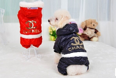 Chanel ρούχα για ζώα συντροφιάς