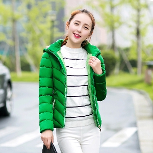 Модерно зимно дамско памучено яке - в различни размери и няколко цвята