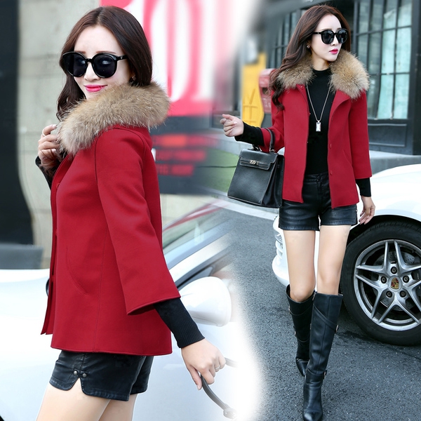 Γυναικείο παλτό,  για το χειμώνα  Σύντομο, δύο  μοντέλα