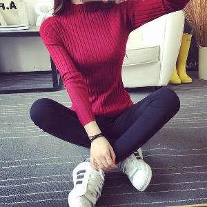 Γυναικείο πουλόβερ σε 5 διαφορετικά χρώματα