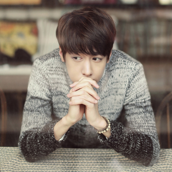 Мъжки пуловери в шест цвята