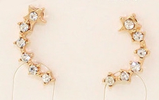 Най различен избор от дамски обеци