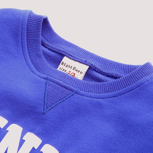 Детски анцуг за момчета - пролетен спортен комплект от две части - блуза и панталон - сив, зелен, син, жълт, розов