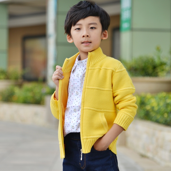 Χοντρή ζακέτα για τα αγόρια - 4 σχέδια