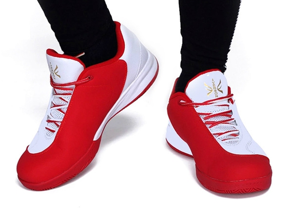  Баскетболни обувки Айвърсън