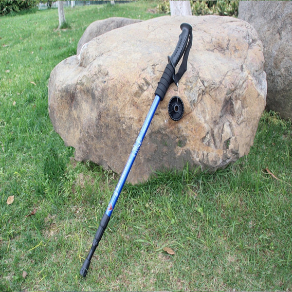 Туристически щеки