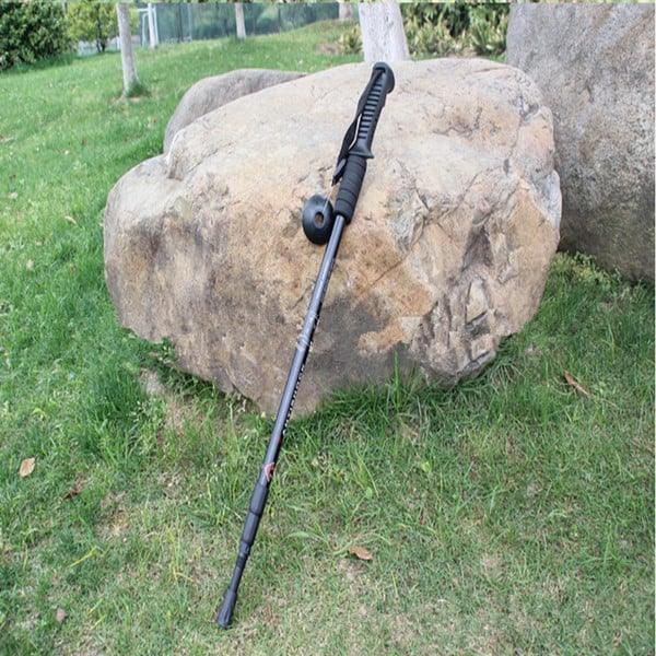 Туристически щеки