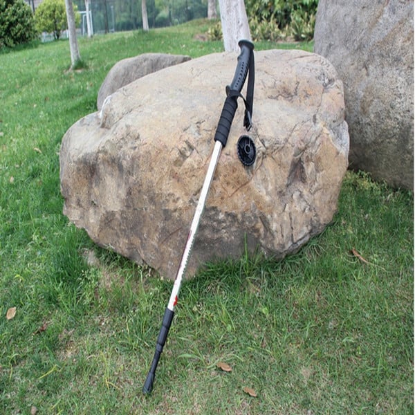 Туристически щеки