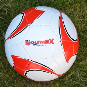 Футболни топки - два модела - шити и от изкуствена кожа