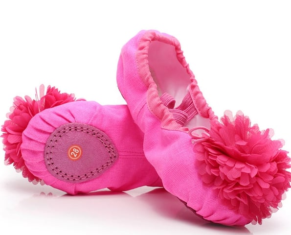 Цвички  за балет с цвете         