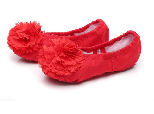 Цвички  за балет с цвете         