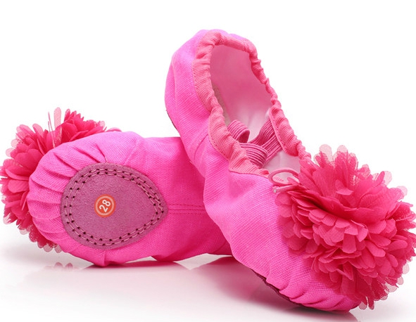 Цвички  за балет с цвете         