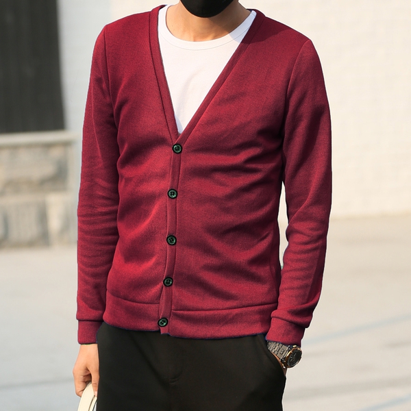 Ζακέτες των ανδρών για την άνοιξη του τύπου slim - 11 μοντέλα