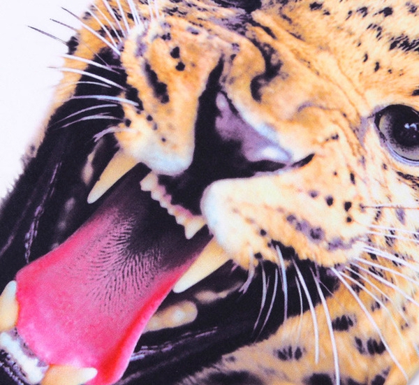 Παιδικό T-shirt με κινούμενο Leo - μαύρο και άσπρο