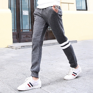 Мъжки спортен панталон подходящ за джогинг - в сив,бял,черен,син, и червен цвят