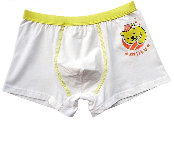 Детско бельо за момчета - различни цветове - сини, червени, жълти, сиви боксерки