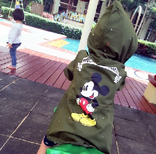 Ανοιξιάτικο μπουφάν για αγόρια με κίτρινο και πράσινο Mickey Mouse