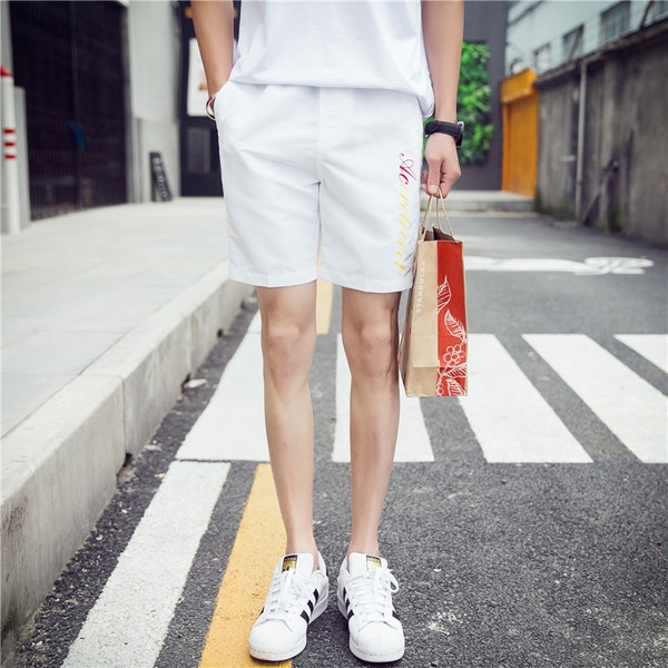 Σύντομη παντελόνι Casual ανδρών σε διάφορα χρώματα - 16 μοντέλα