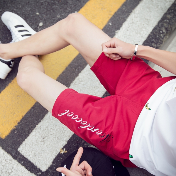 Σύντομη παντελόνι Casual ανδρών σε διάφορα χρώματα - 16 μοντέλα