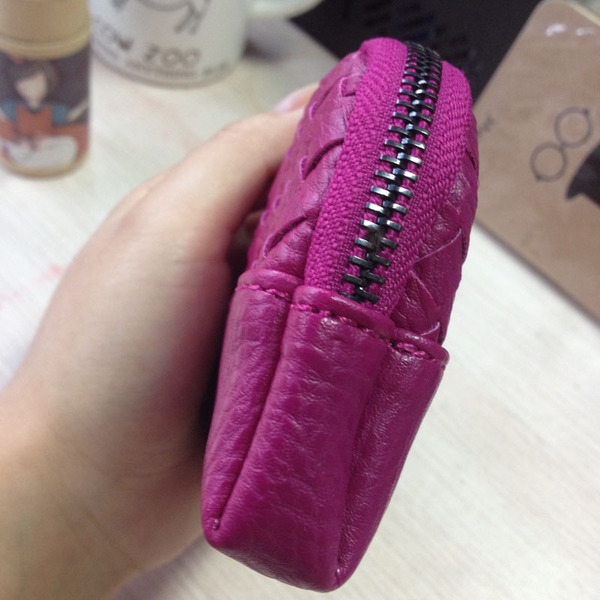 Οι γυναίκες χαρτοφυλάκια σε γκρι, μαύρο, μπλε, μωβ και κόκκινο χρώμα