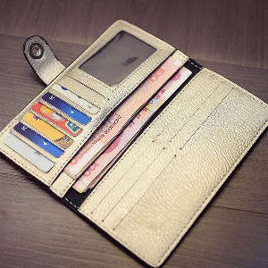 Οι γυναίκες πορτοφόλια σε λευκό, μαύρο, ροζ, κίτρινο, μπλε, καφέ και γκρι