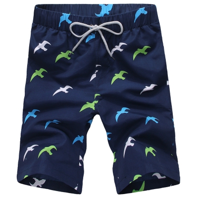 Σορτς ανδρών για την παραλία με γαλάζια ανδρών - 2 μοντέλα
