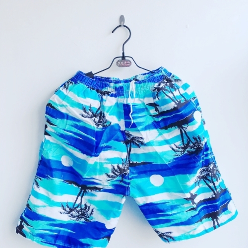 Αντρικό σορτς των ανδρών - 16 μοντέλα