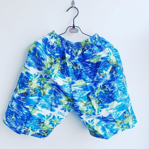 Αντρικό σορτς των ανδρών - 16 μοντέλα