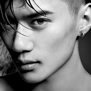 Ένα ανδρικό ασημένιο σκουλαρίκι με λύκο