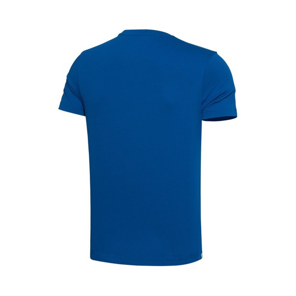 Αντρικά καλοκαιρινά μπλουζάκια σε ανοιχτό μπλε σε γκρι και μαύρο  με κοντό μανίκι SPORTS