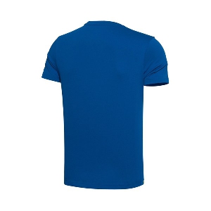Мъжки летни спортни тениски с щампа сини, сиви и черни с къс ръкав SPORTS