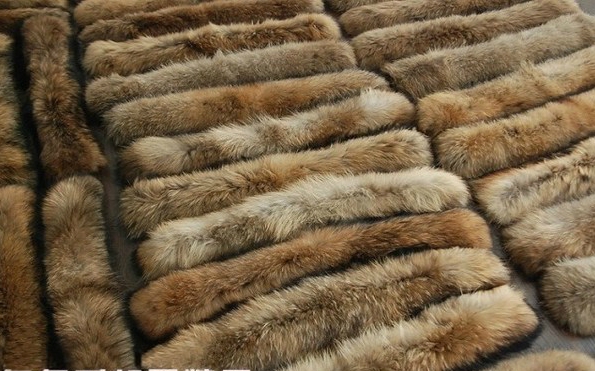 Дамско късо яке с естествен пух на качулката, с пълнеж от гъши пух: Бежово и Черно