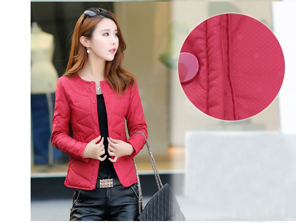 Дамски къси зимни якета тип слим без качулка в 5 цветови модела