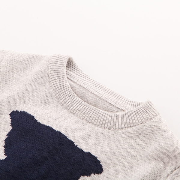 Παιδικό φθνοπωρινό πουλόβερ σε τρία χρώματα με μια αρκούδα