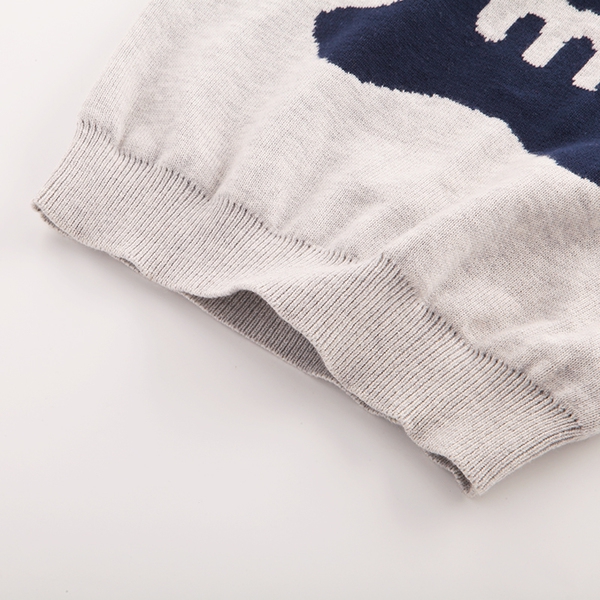 Παιδικό φθνοπωρινό πουλόβερ σε τρία χρώματα με μια αρκούδα