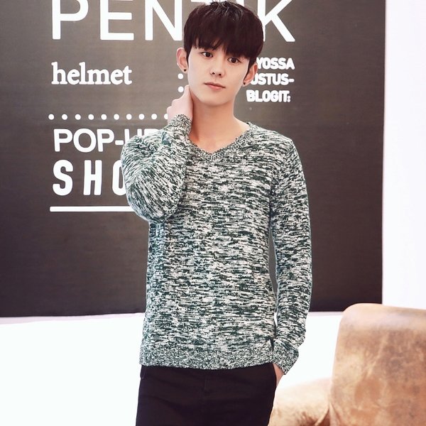 Мъжки вълнен пуловер тип слим в 2 модела