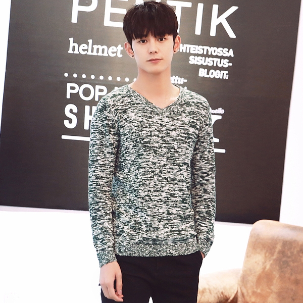 Мъжки вълнен пуловер тип слим в 2 модела