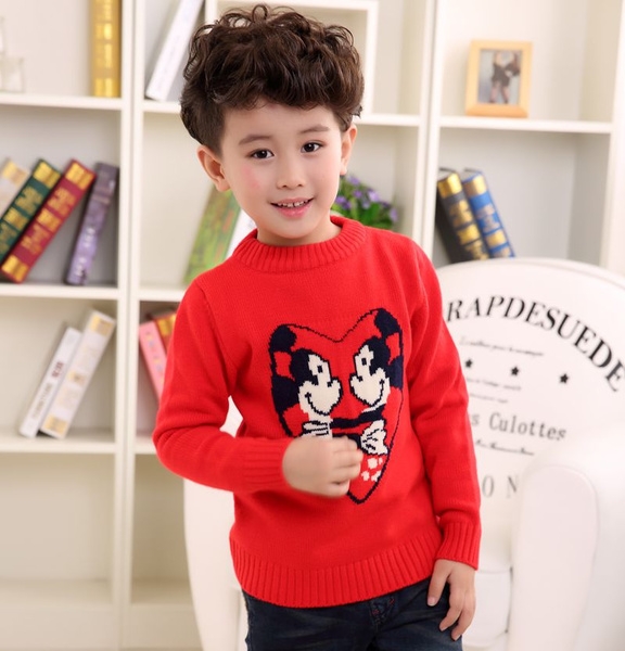 Детски пуловер за момчета в над 20 модела цветови гами