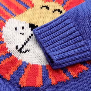 Παιδικό πουλόβερ για  αγόρια με μια ζωηρή διακόσμηση τίγρης