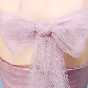 Κορυφαία μοντέλα Γυναικών φορέματα άνοιξη και το καλοκαίρι σε ροζ, μωβ, σαμπάνια - διάφορα σχέδια