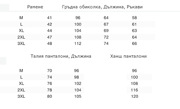 Мъжки спортен анцуг от две части горнища с дълъг ръкав и панталони модели Ягуар, Франция Париж