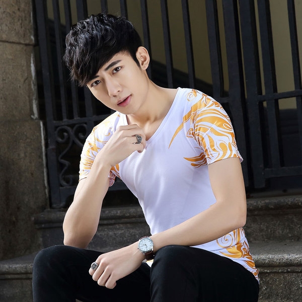 Мъжка тениска с къс ръкав с апликация дракон различни модели