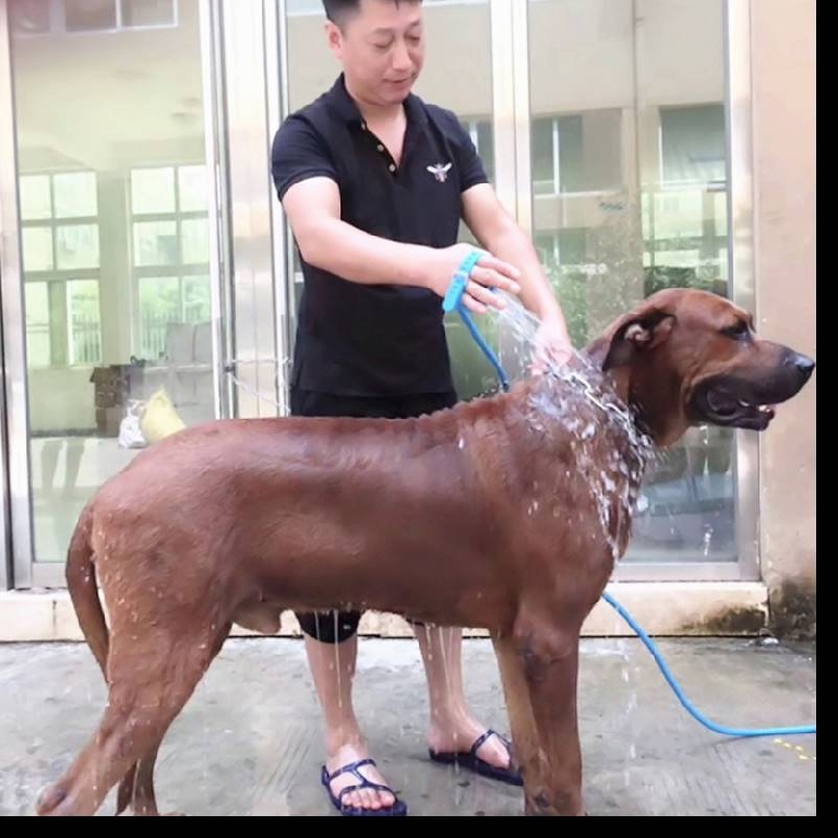 Много удобен подвижен душ за къпане на кучета