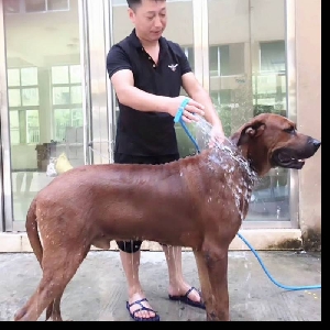 Много удобен подвижен душ за къпане на кучета