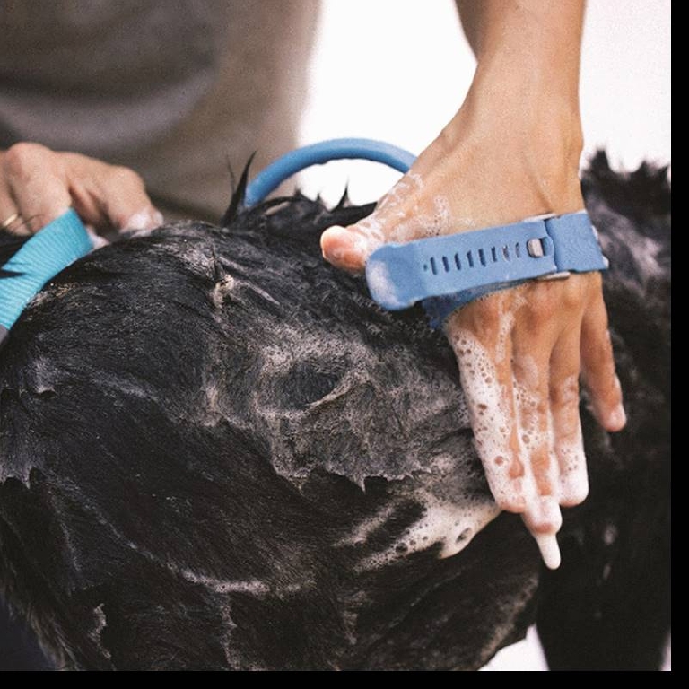 Много удобен подвижен душ за къпане на кучета